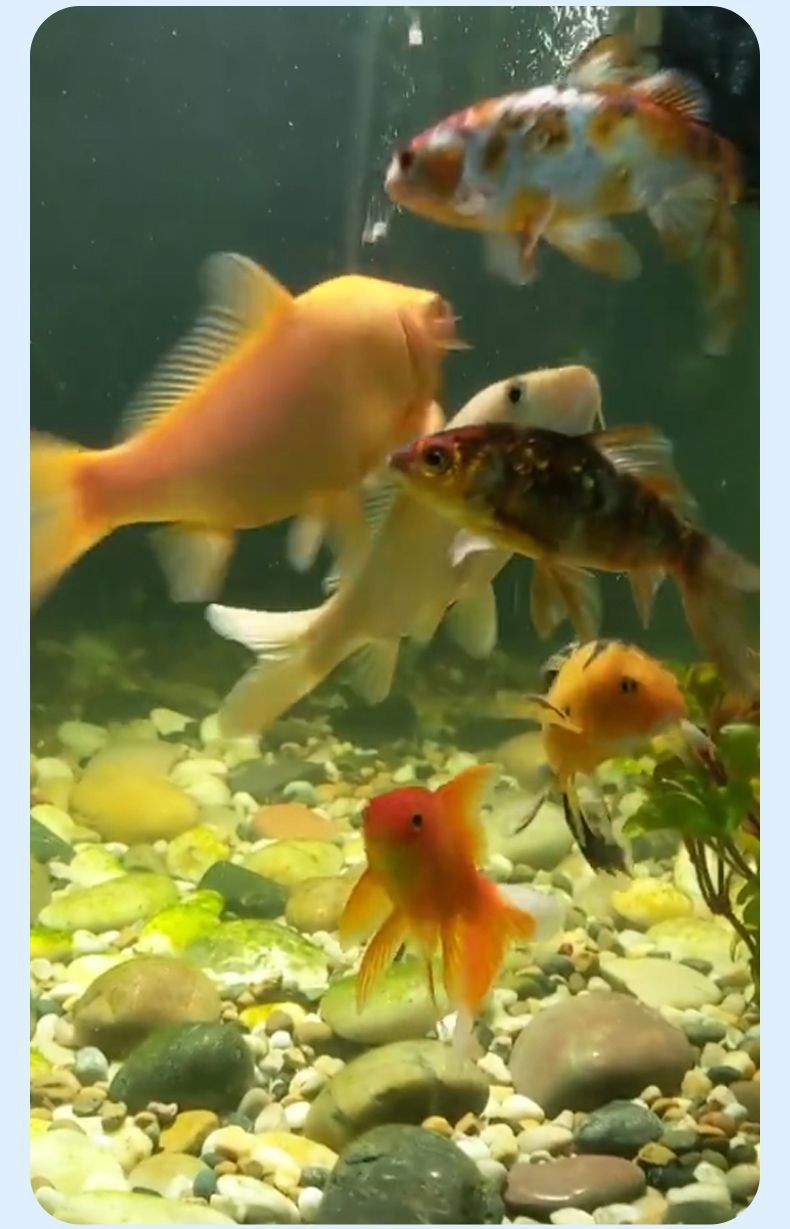 35a89564-35c1-4318-be9b-57afdaa3f7f3.jpe