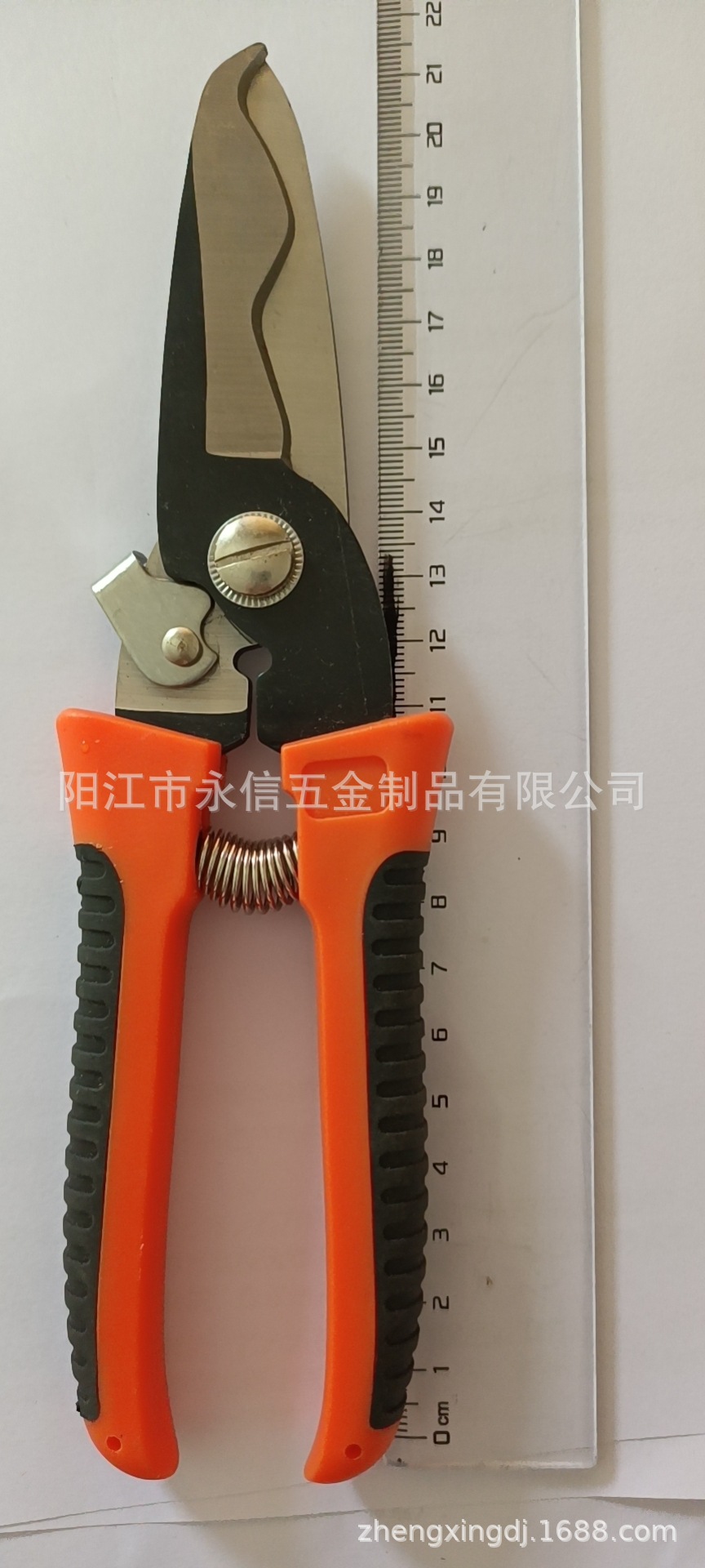 微信图片_20211022115923