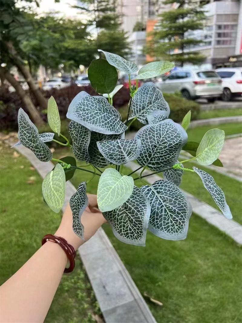 微信图片_20240705180230