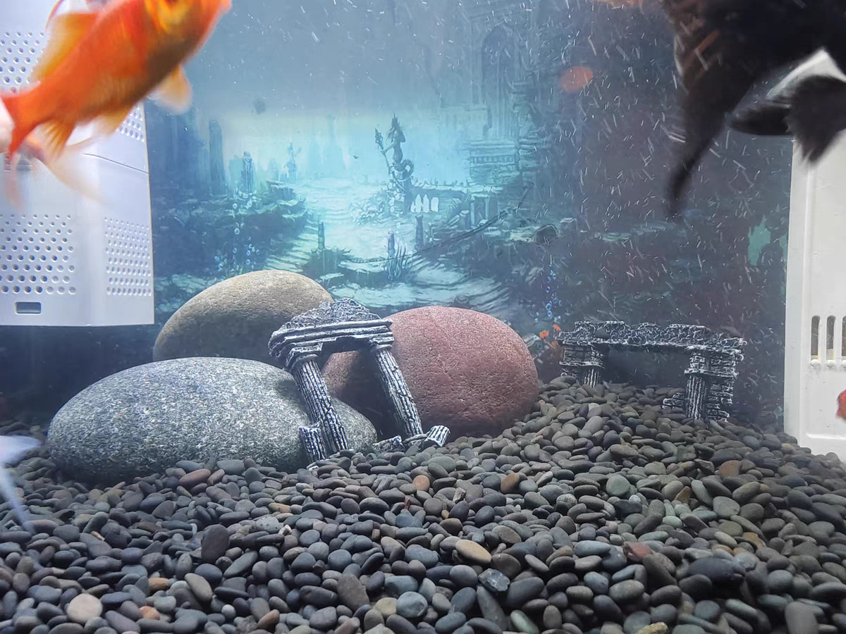 微信图片_202307171558361