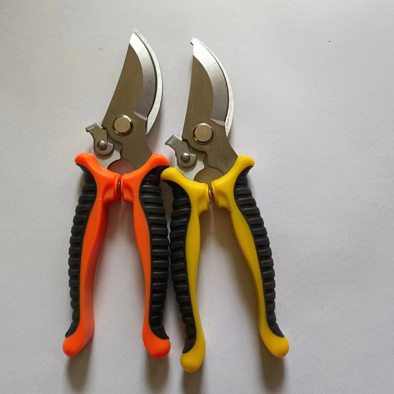 微信图片_20240228154251