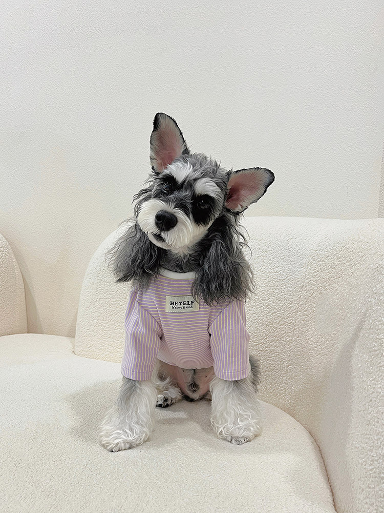 83f3a3b7adfb2f841670cd8c717de5