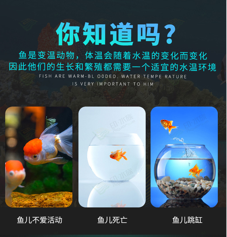 中科温度计详情_03.jpg