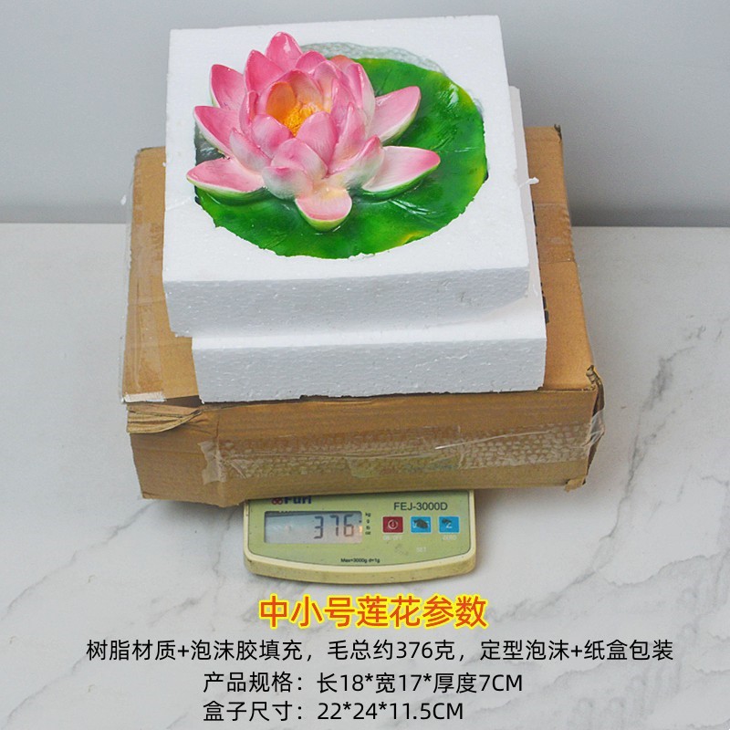 DSC_0003_副本_副本