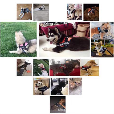 eb112f4d43a8097f76902d07268406