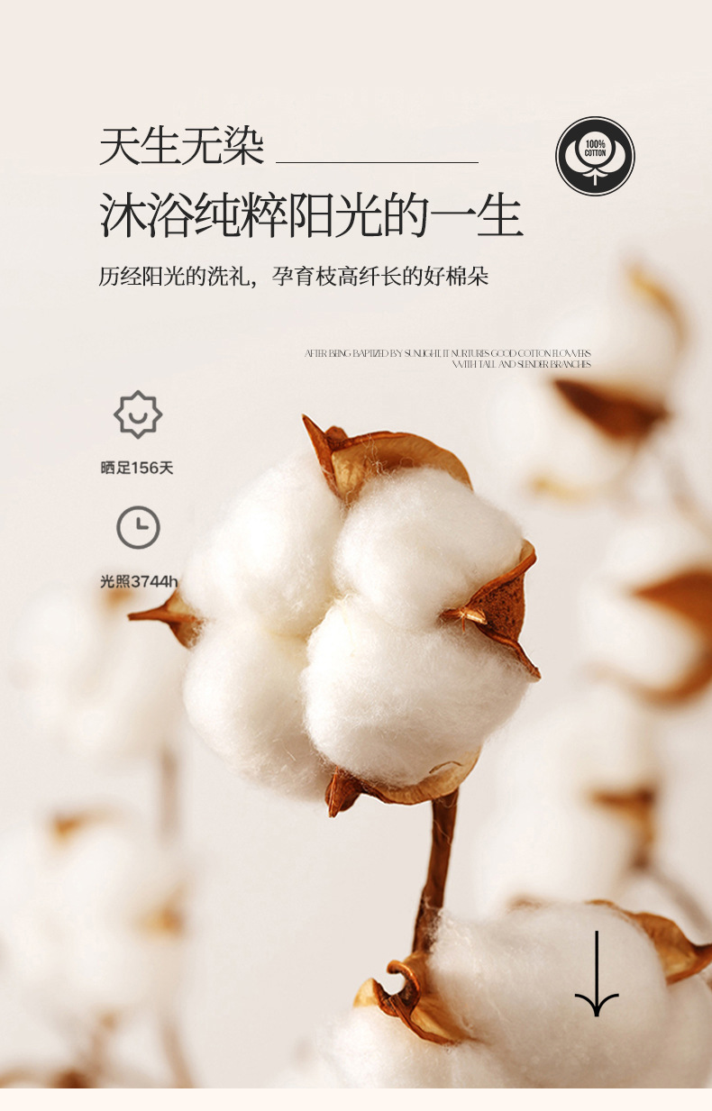 d3907b3d-16cf-4898-a37c-56665aac9cd42024