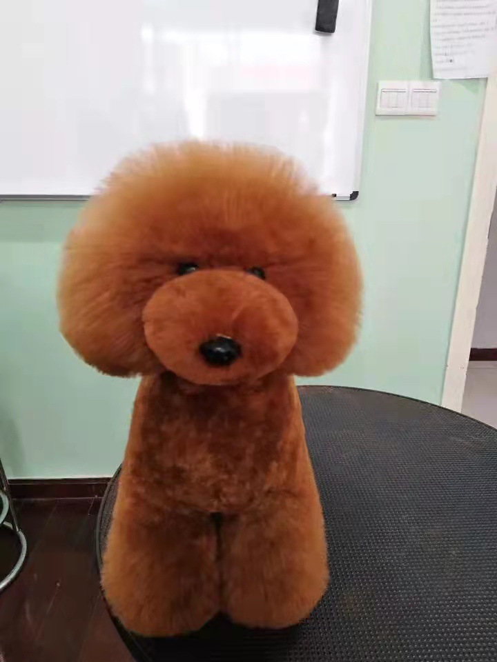 微信图片_20211020162519