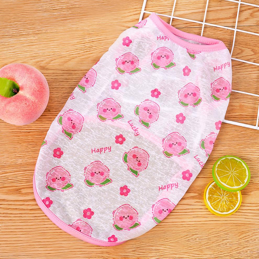 04a8accd-079d-484b-9731-67656528cca1.jpe