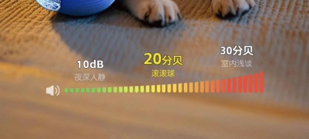 351f2f8f-80a9-420c-b8f9-b32ef2e6ddbe.jpe