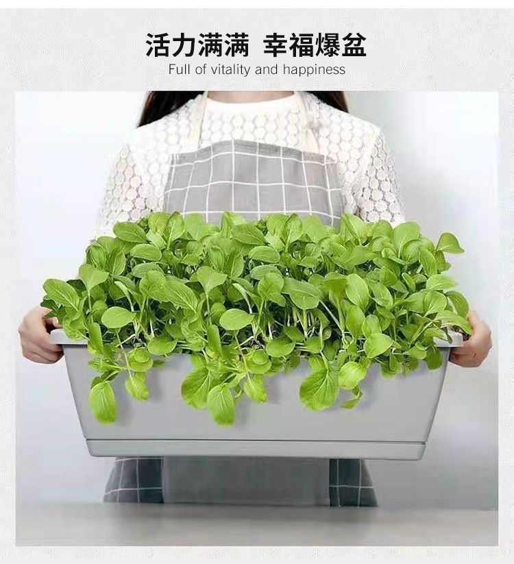 a12604b8-a0b9-4b4e-a929-2d717fbc2487.jpe