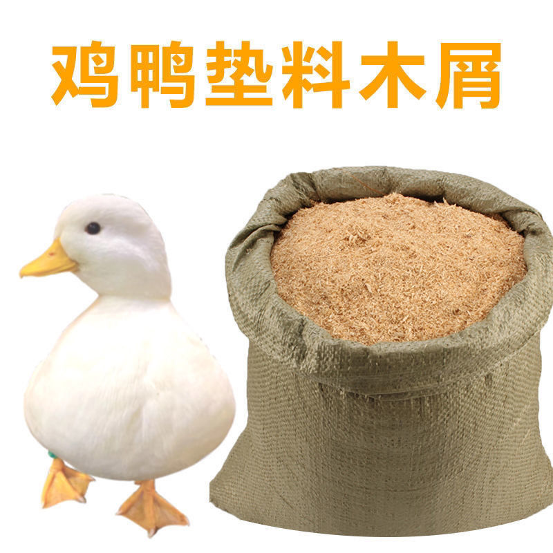 O1CN01CDhN3d24thFiVrU4S_!!2217012857449-