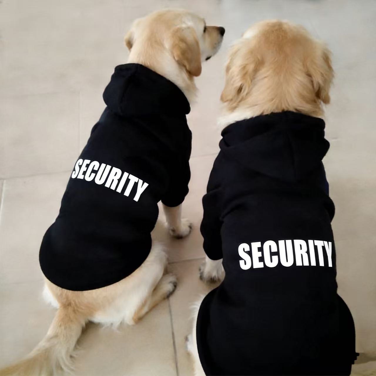 微信图片_20260311145629_87_233