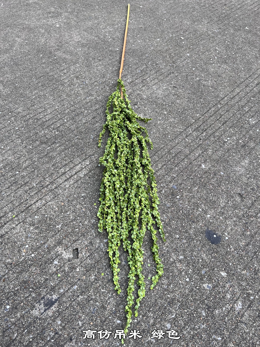 微信图片_20231030195627