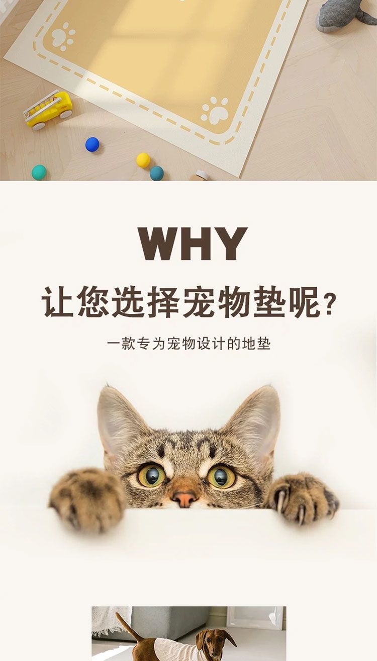 0e5b76ff-11eb-4cc0-a062-6e73a38907fb.jpe