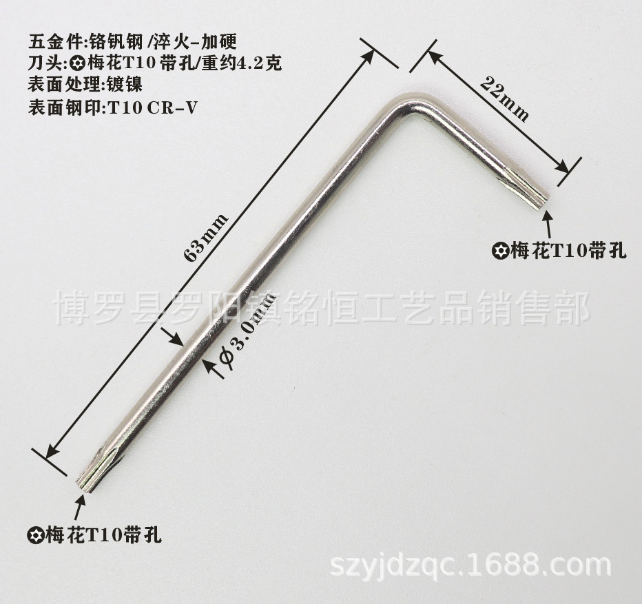 T10带孔-22X63打标 -4.png