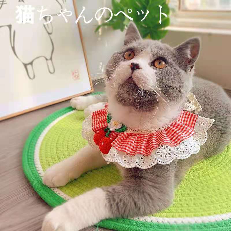 微信图片_20210821104259