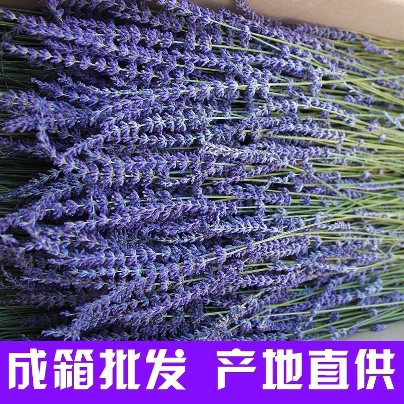 686d9f52-81f3-4e3e-b61d-15c52406d428.jpe