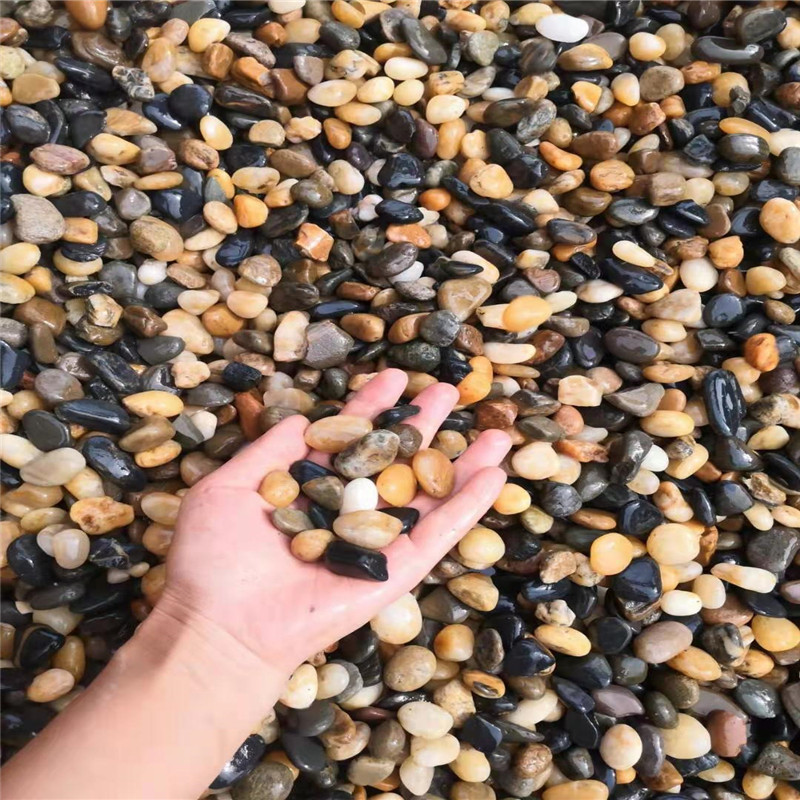 溪流沙 (5)
