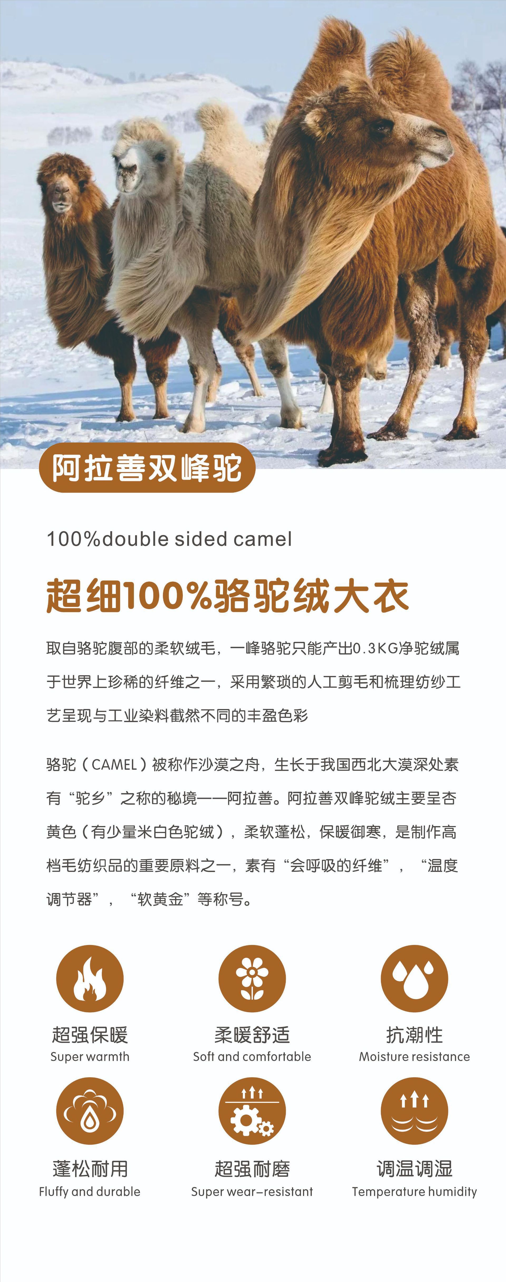 骆驼大衣1