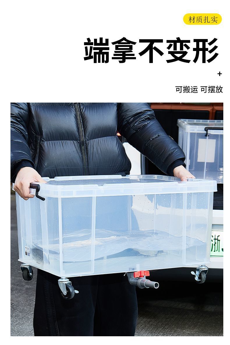 91687859-192a-4ce9-80e0-a5b597a780b5.jpe