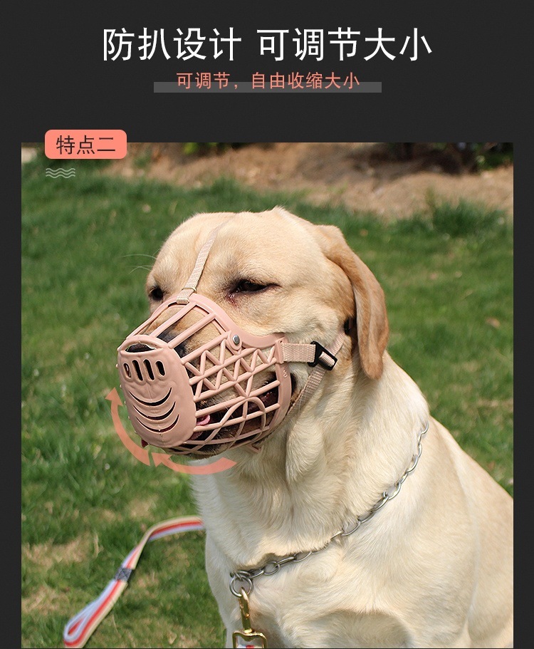 4665d89e-934b-4eca-bd95-f0bcc408c4dd.jpe
