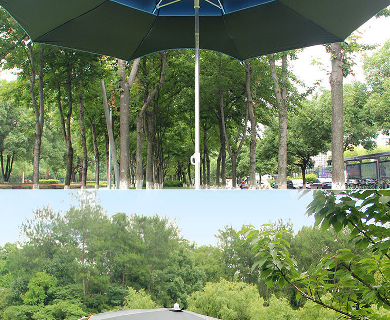 cf3d06c7-932f-4b7d-b3b7-069c79155102.jpe