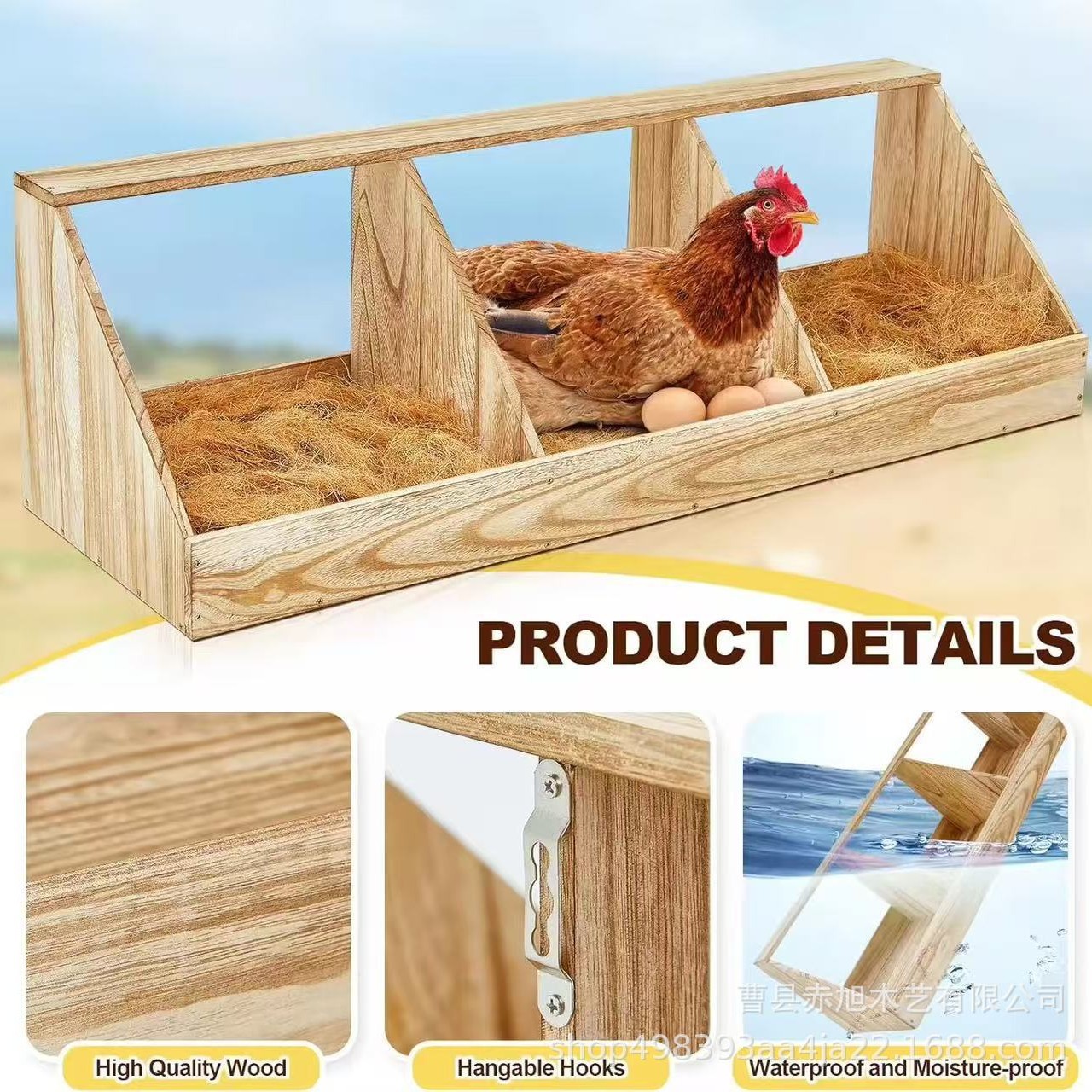 2025-06-13 11:34:25.jpg