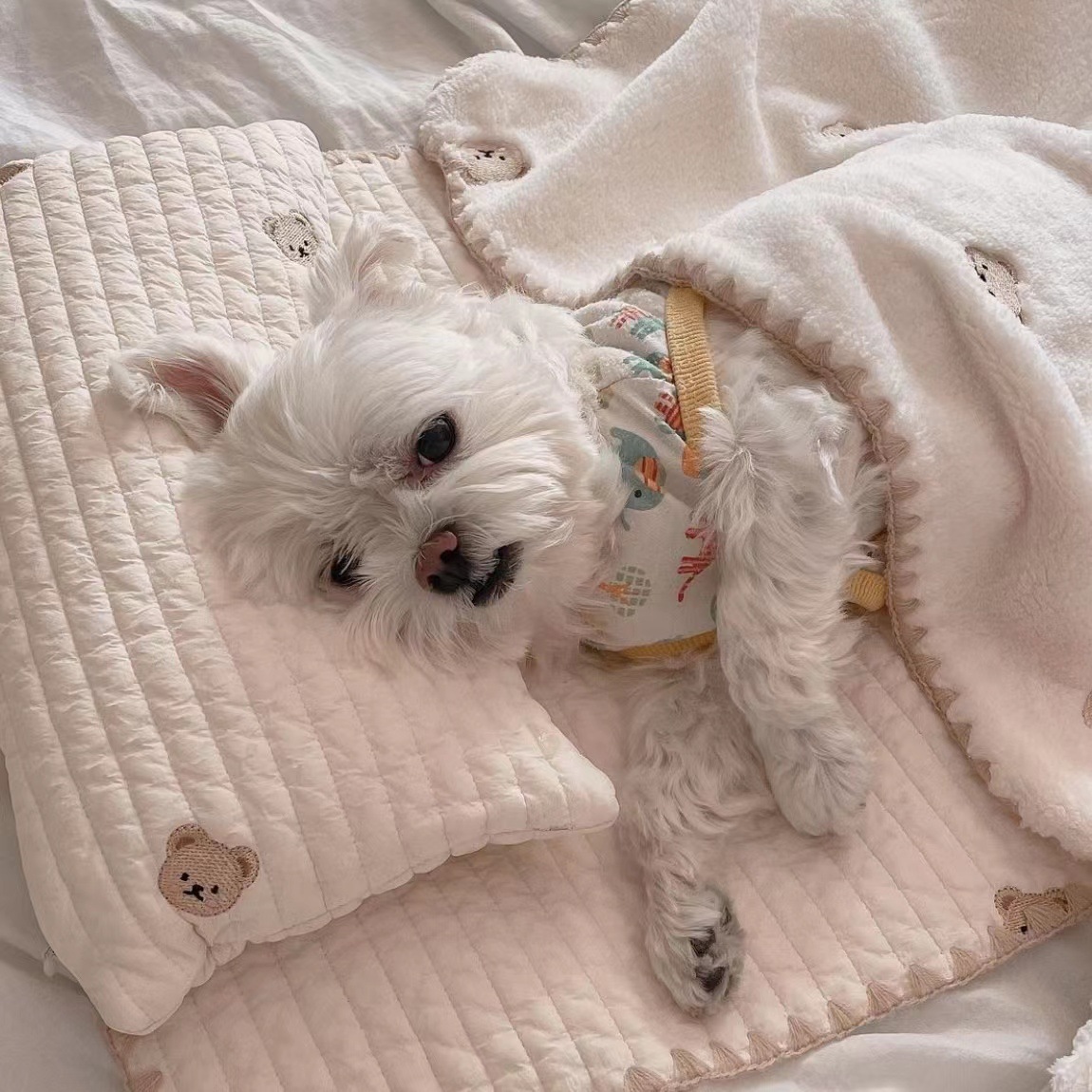 微信图片_20221012143405