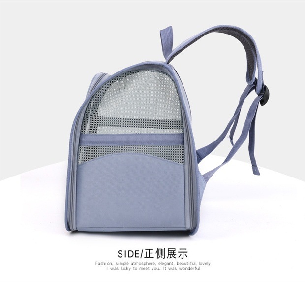 be07a3cb-f2a4-462b-a0f5-11d467e7c8b6.jpe