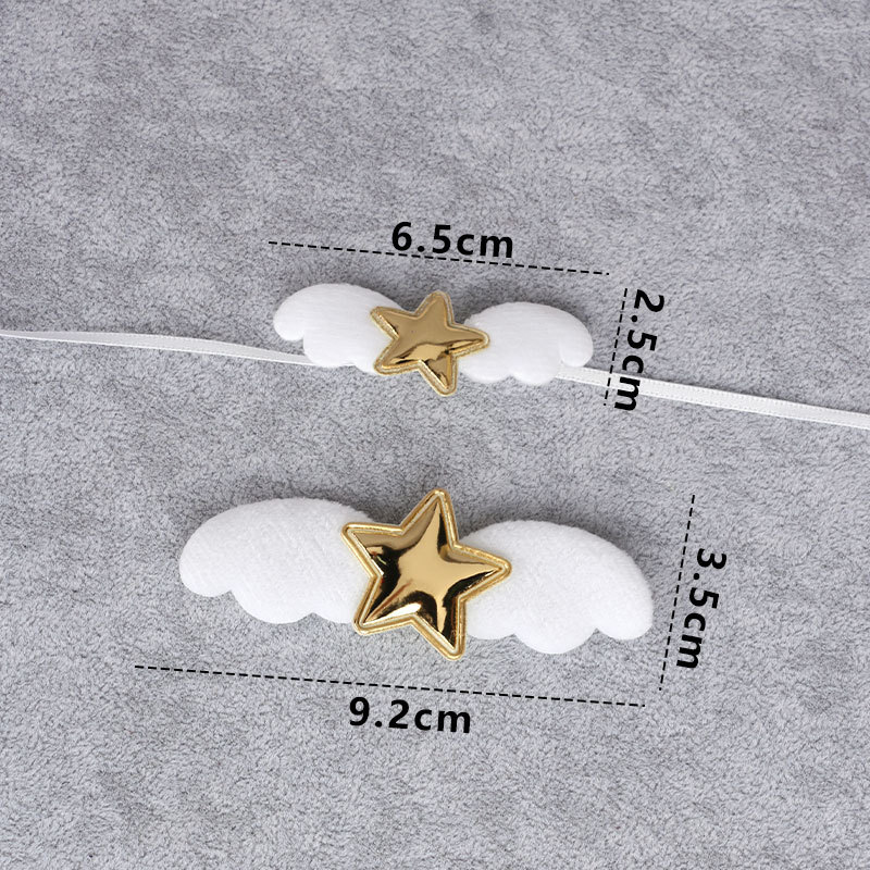 金星小翅膀对比图