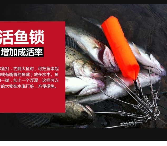 b2bd5515-6a92-4ffc-8cd3-eea1af3e29df.jpg