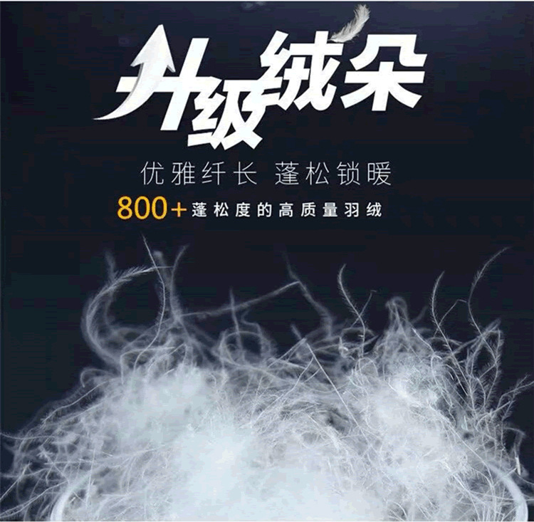6羽绒1.jpg