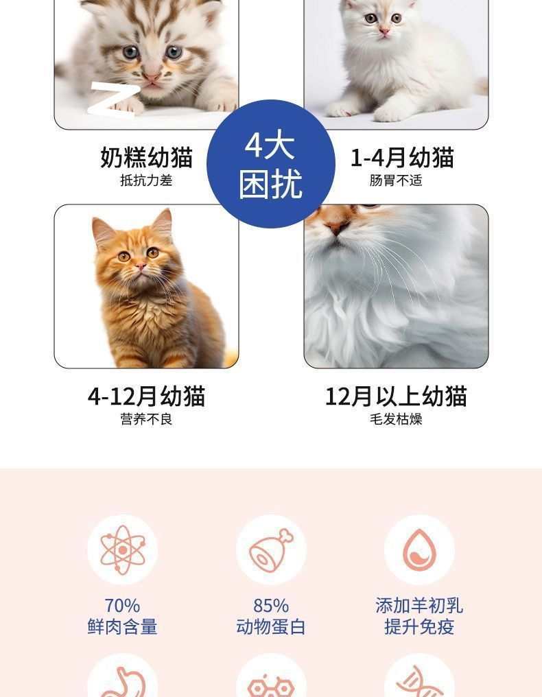 cc1a2fb1-17eb-48ac-8278-49fdc01172ee.jpe