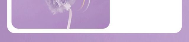 8281e0ce-61b5-4bd6-8418-093bc7825c19.jpe