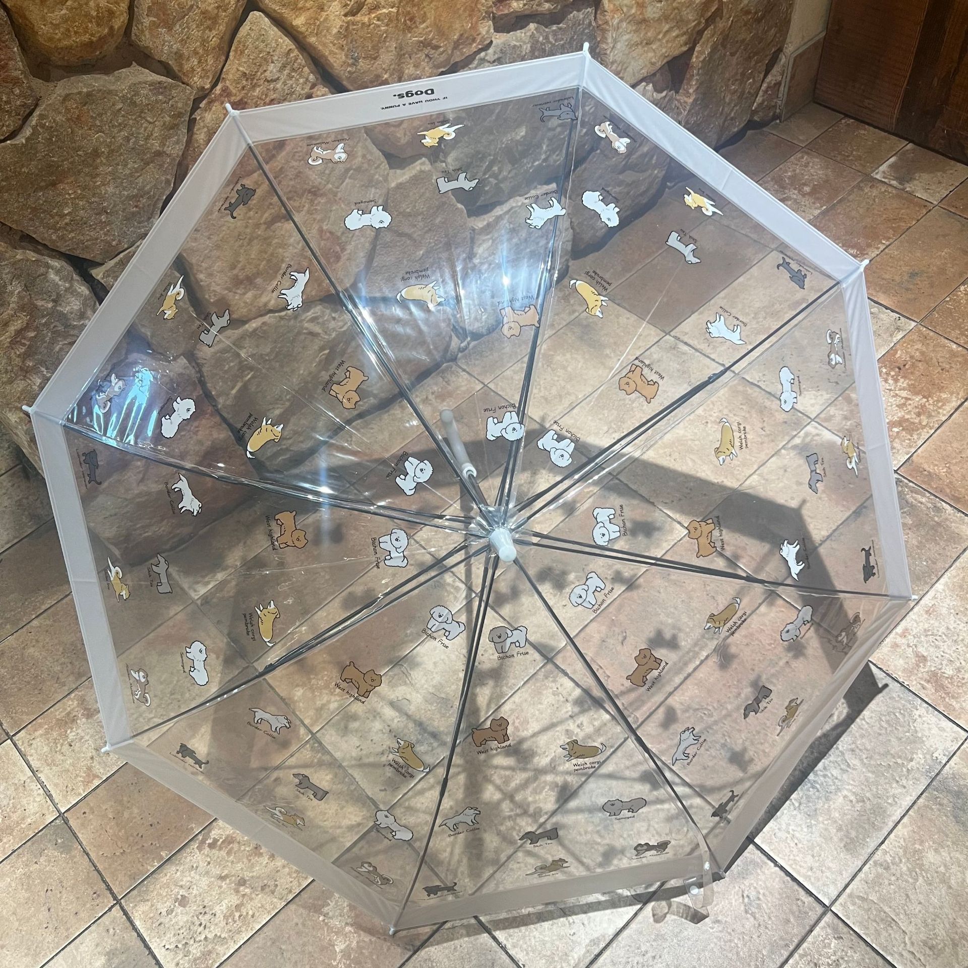 微信图片_20250806173624