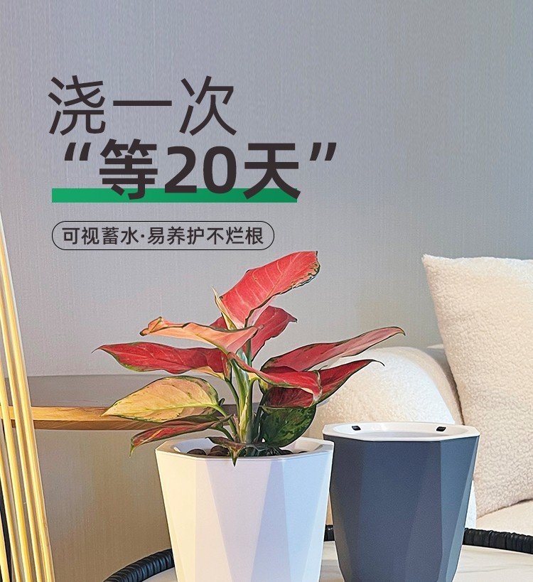 355a1f20-318f-419d-8ff7-7f7c7c53bc58.jpe