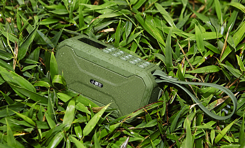 D100_21.jpg