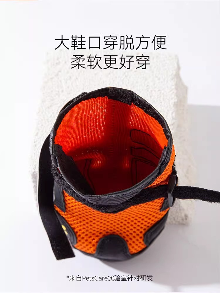 46388752-1ac3-4688-b77c-69cc932d5d3c.jpe