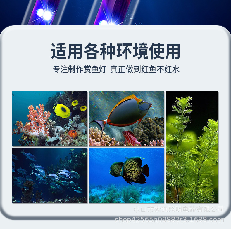 潜水灯_02.jpg