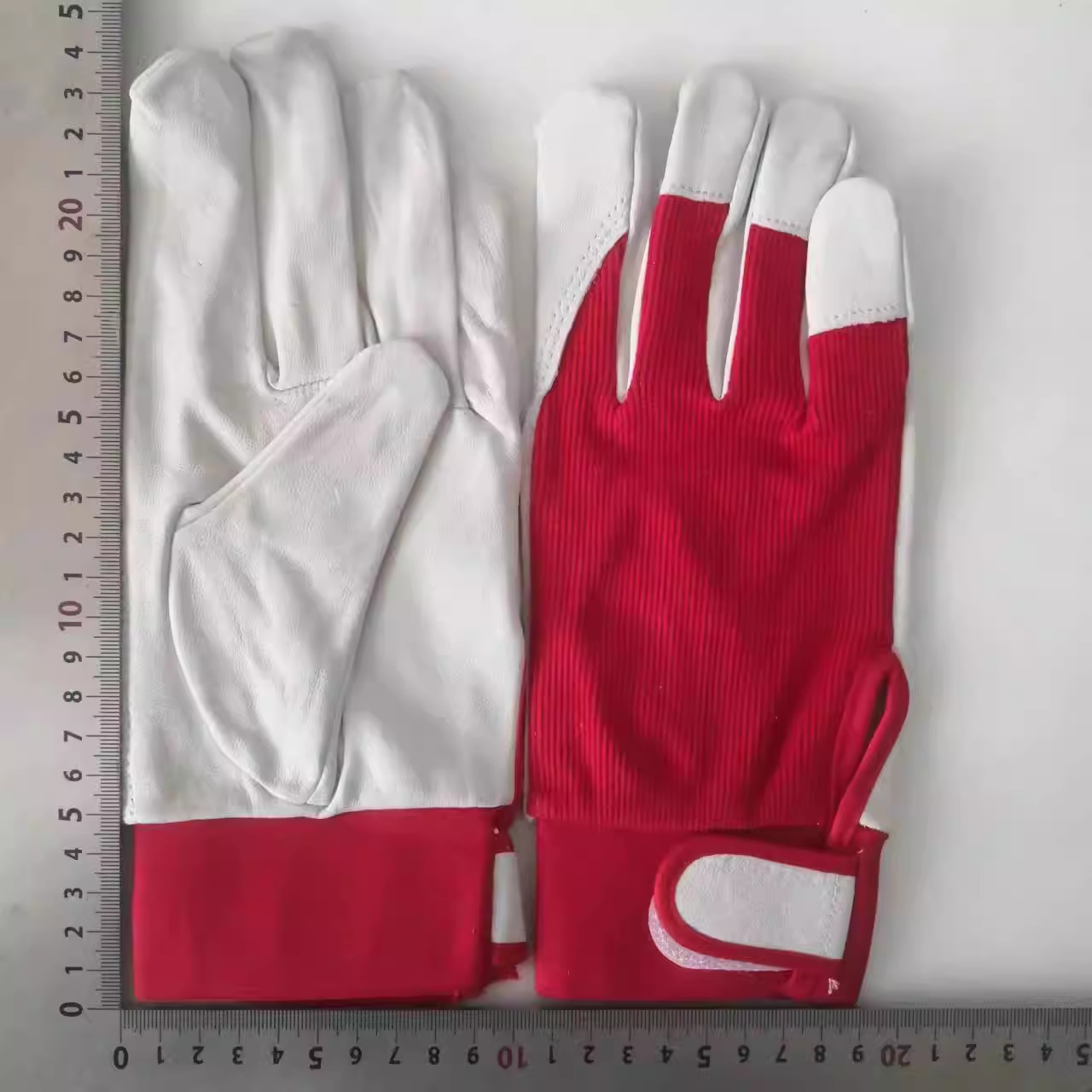 4de785298e6ba5756998e563e99841