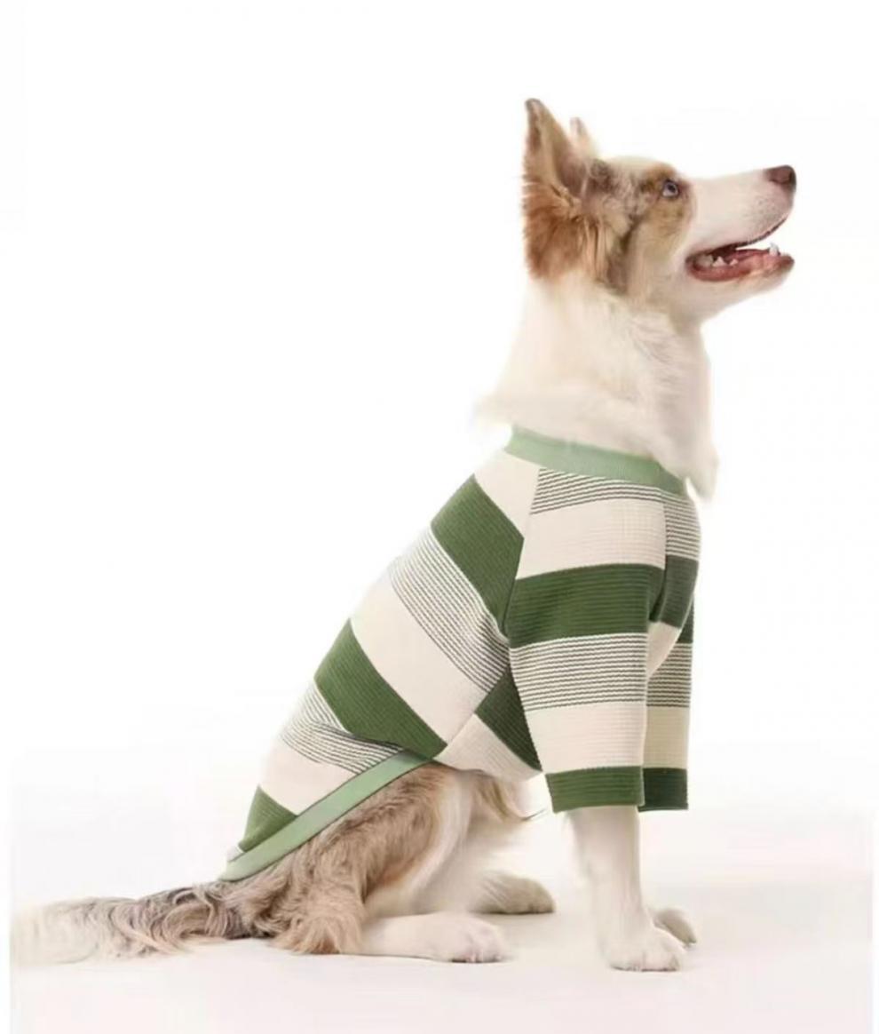 4d9676b8-a182-46b1-b9eb-454ec0dfa7bb.jpe