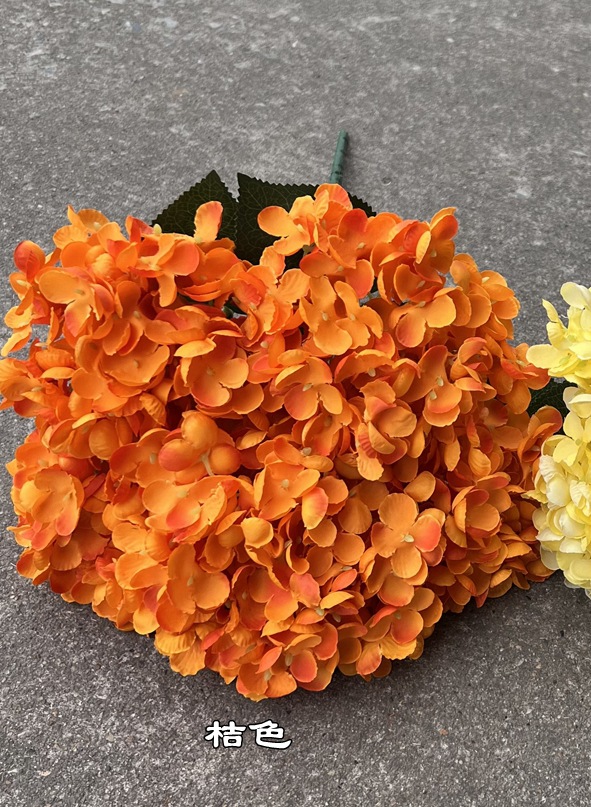 微信图片_20230209155651_副本