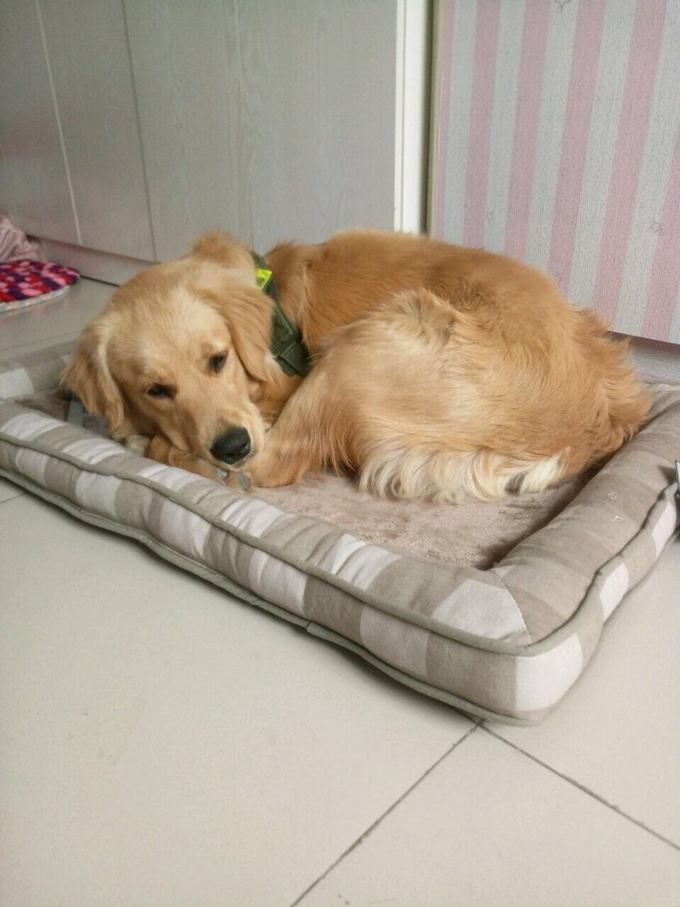 /O1CN01YezCTz1XoJN0O6oTK_!!2219415092970-0-cib.jpg?x-oss-process=image/format,png