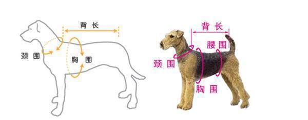 O1CN01DyeRPk20m82rIV9wZ_!!4154