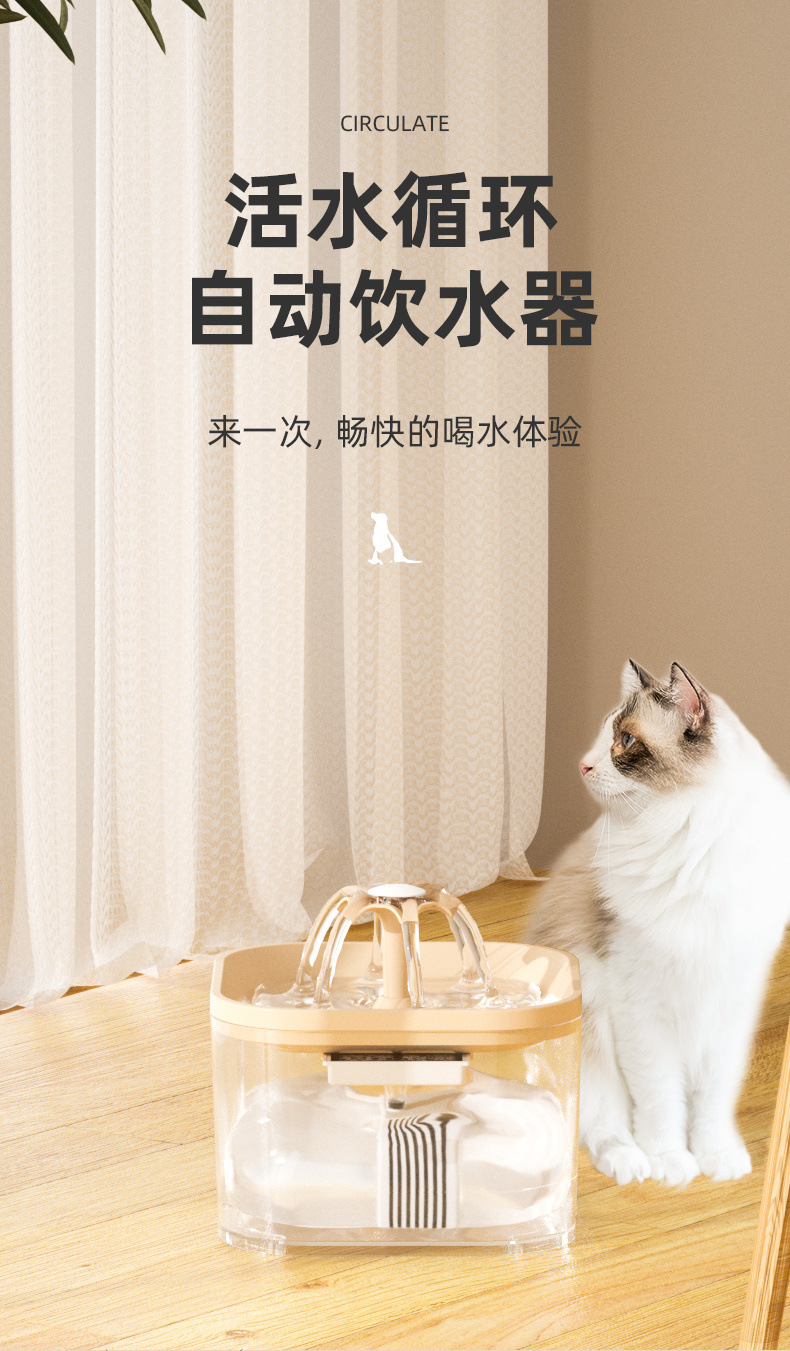 1de063ae-ac36-4806-b484-c7a1ccdd07c6.jpe