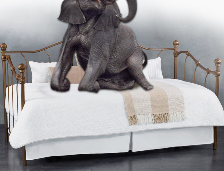 aaddf039-26e8-4e2e-8cba-9041caf077b5.jpe