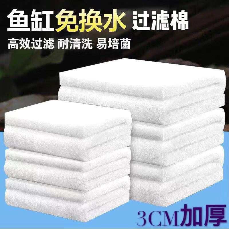 ed36ded0-7c1a-4d8a-be73-da8d07bccfbb.jpe