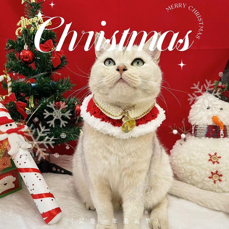 11fb19cf2d0fdcbca20190a4732fd9