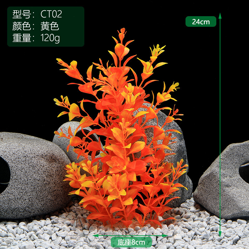 CT02黄色.jpg