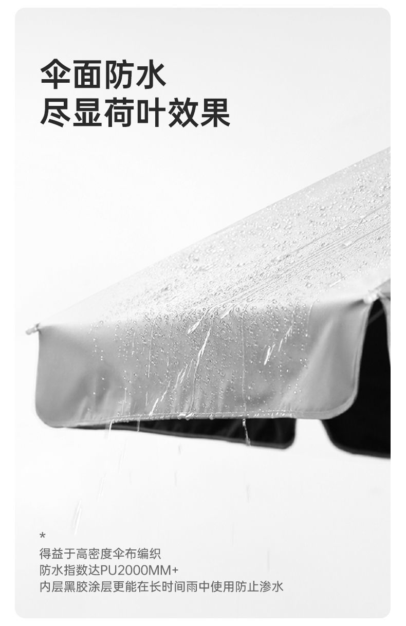 38476778-4ed8-4ca6-bf75-47aae9ebb1e1.jpe